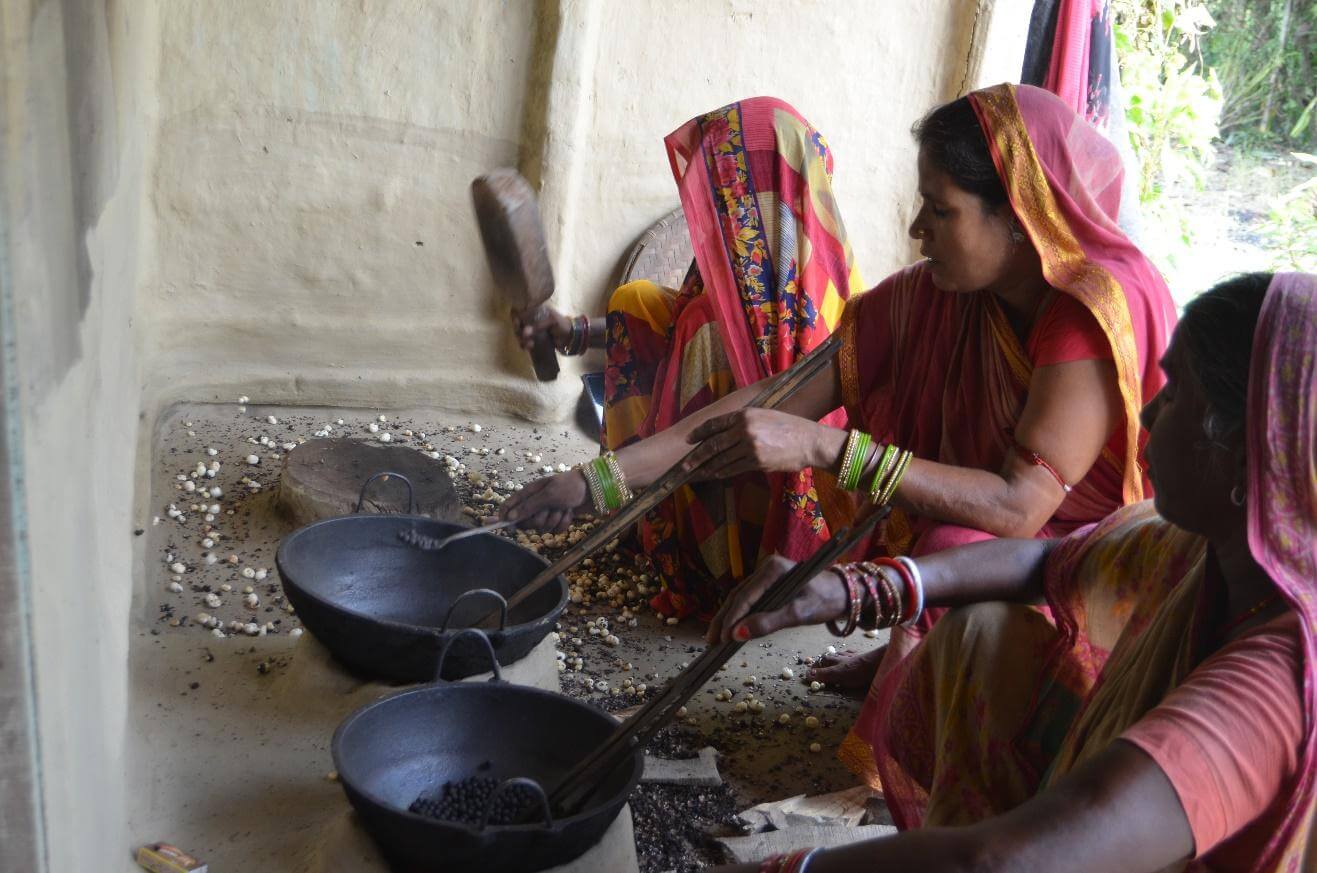 Makhana Sorting and Grading